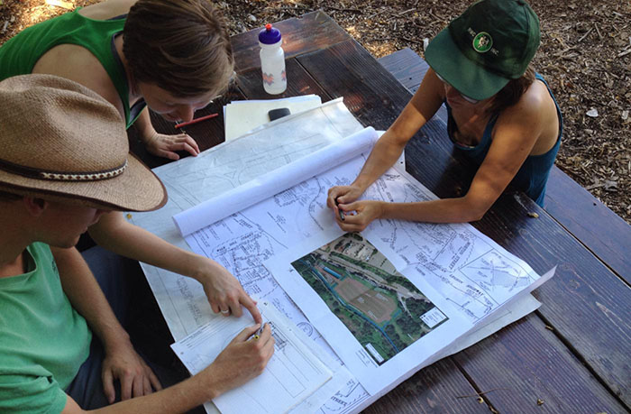 Planning a constructed wetland