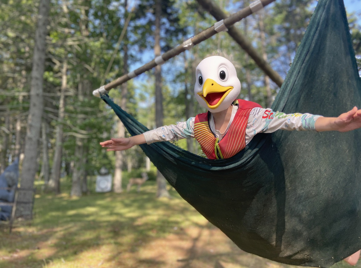 Free as a bird