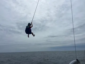 Swing