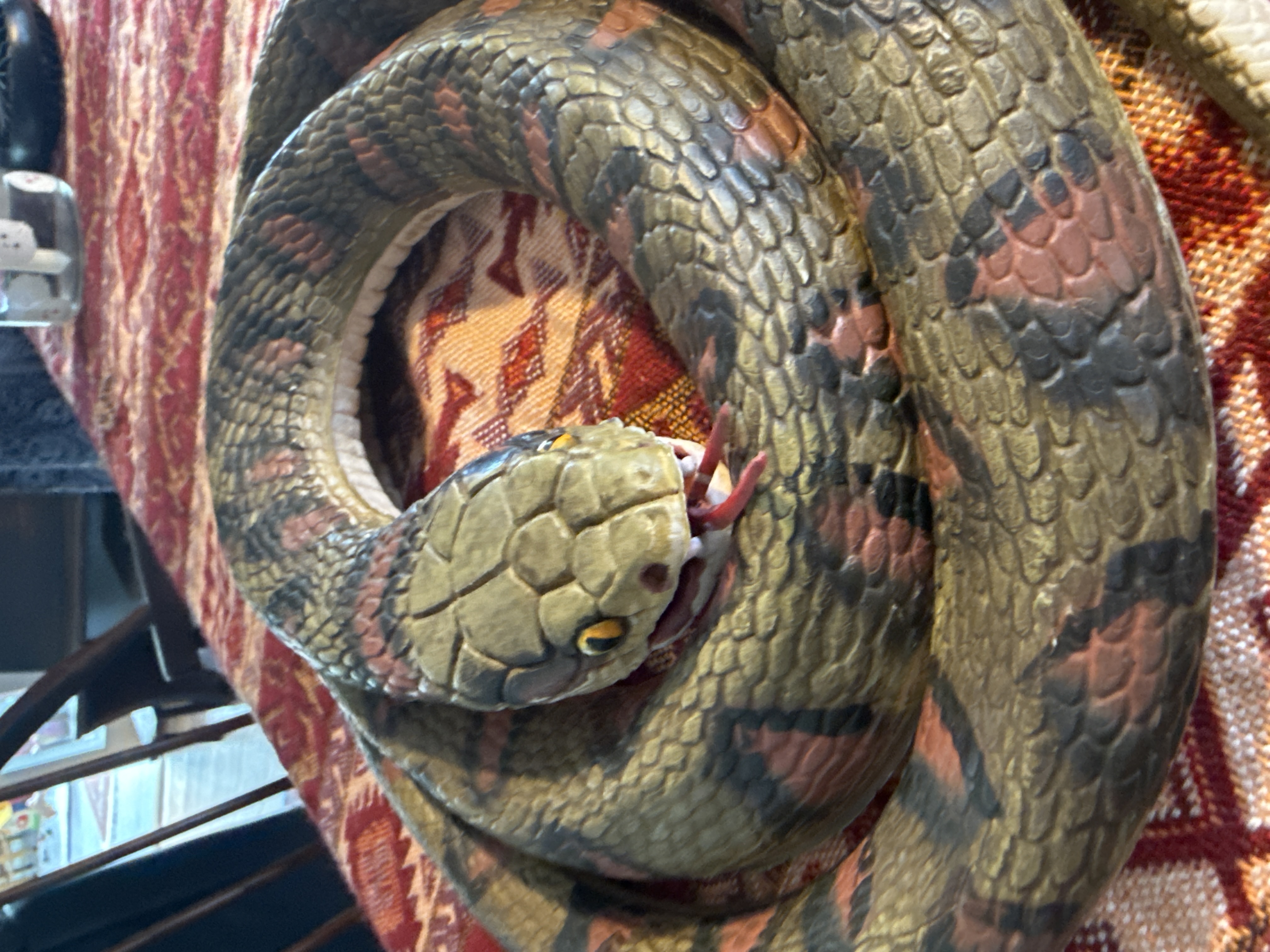 Scary snake