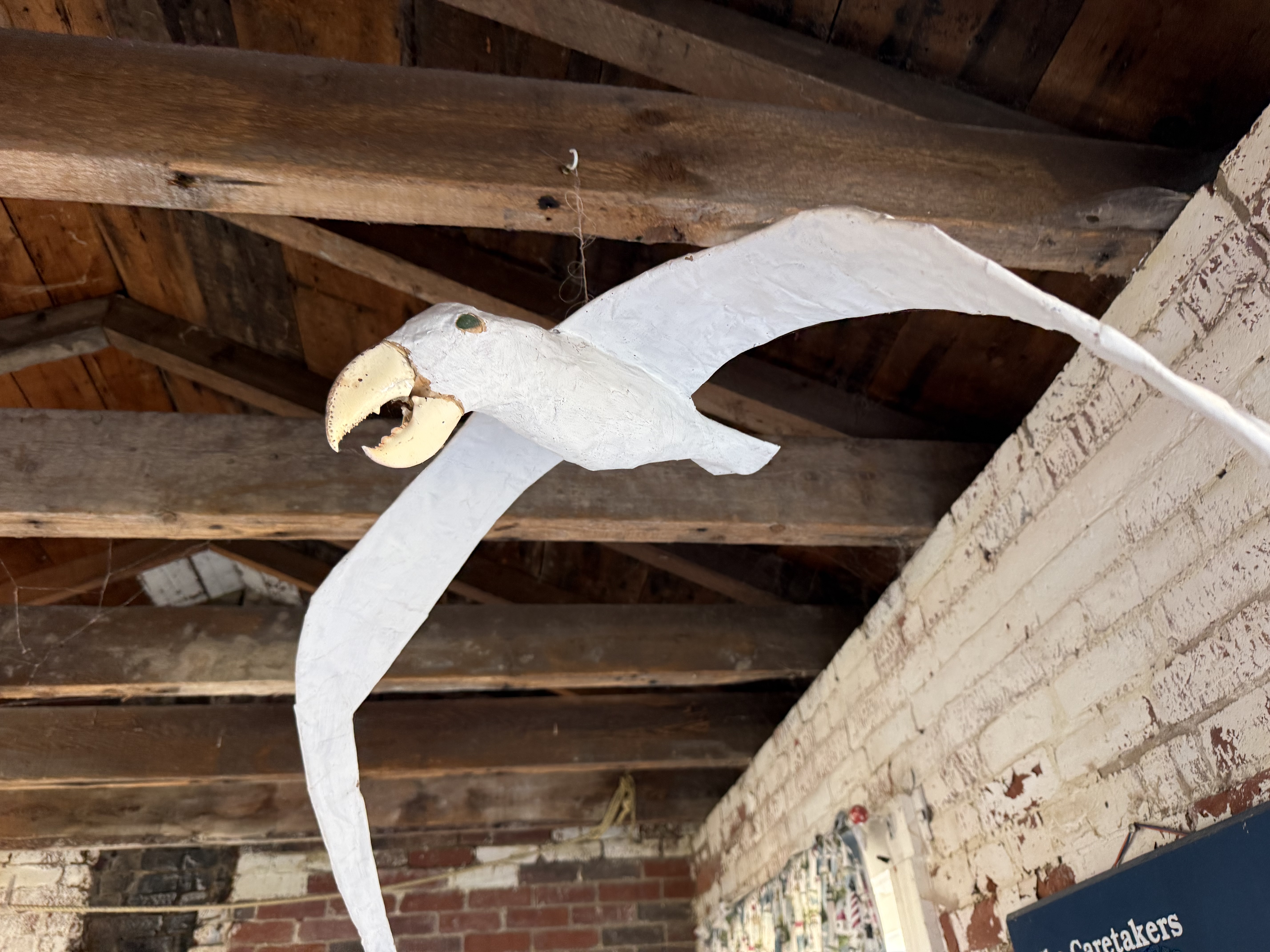 Seagull lobster hybrid