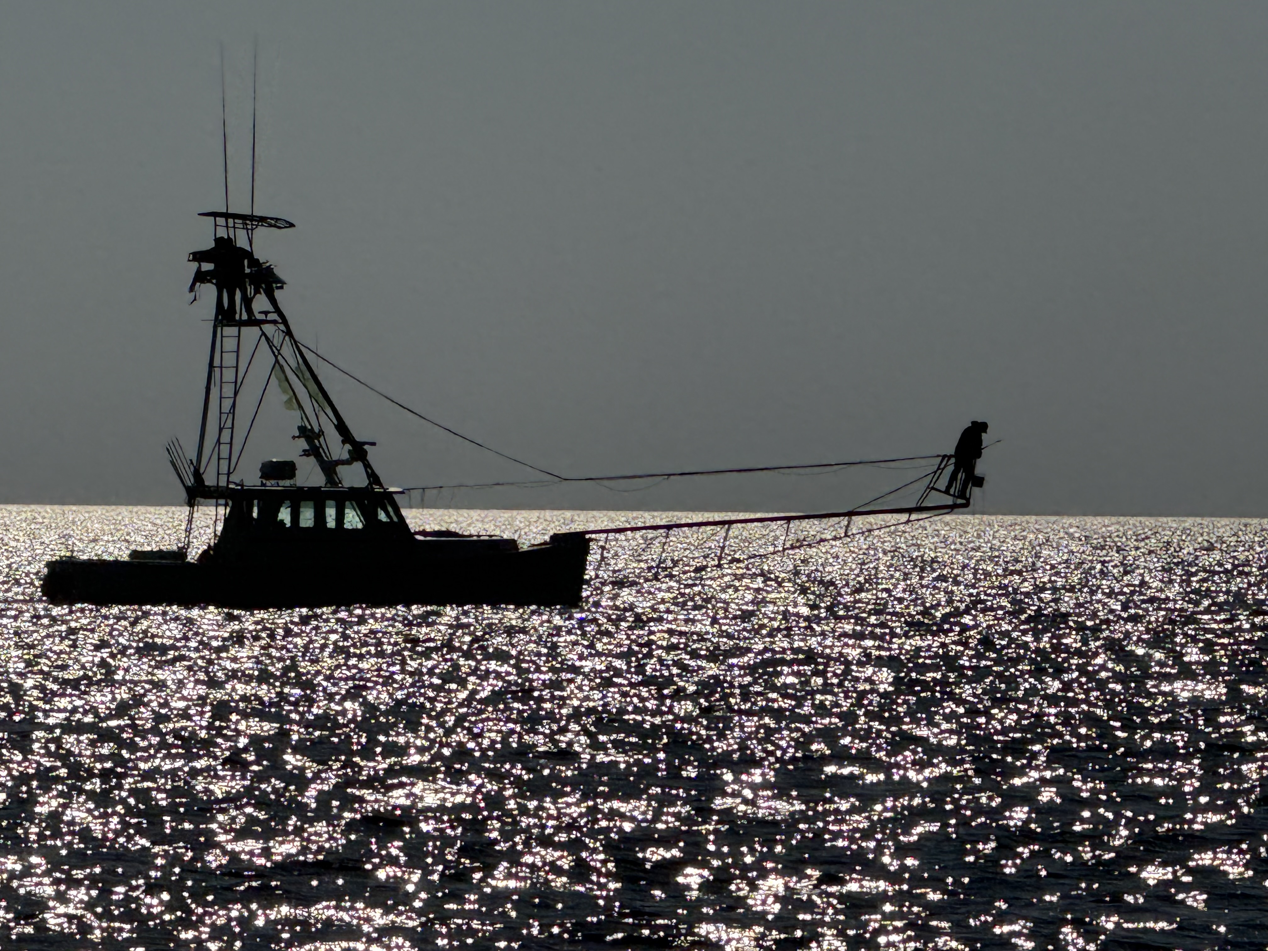 Marlin fishing