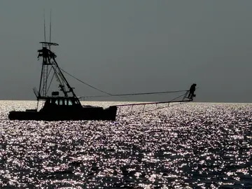 Marlin fishing