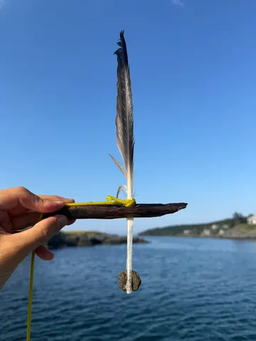 Toy boat