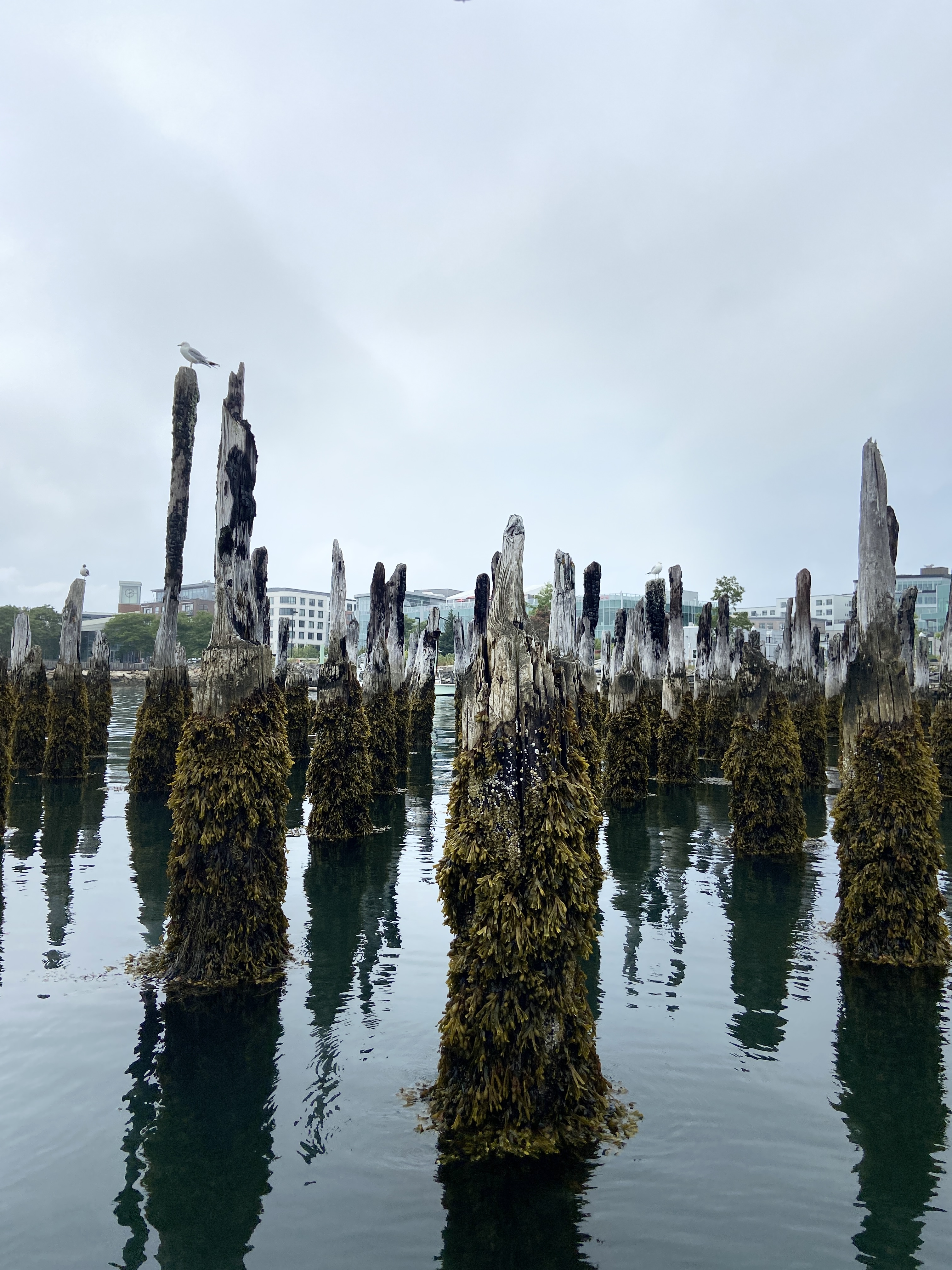 Saltwater toothbrush