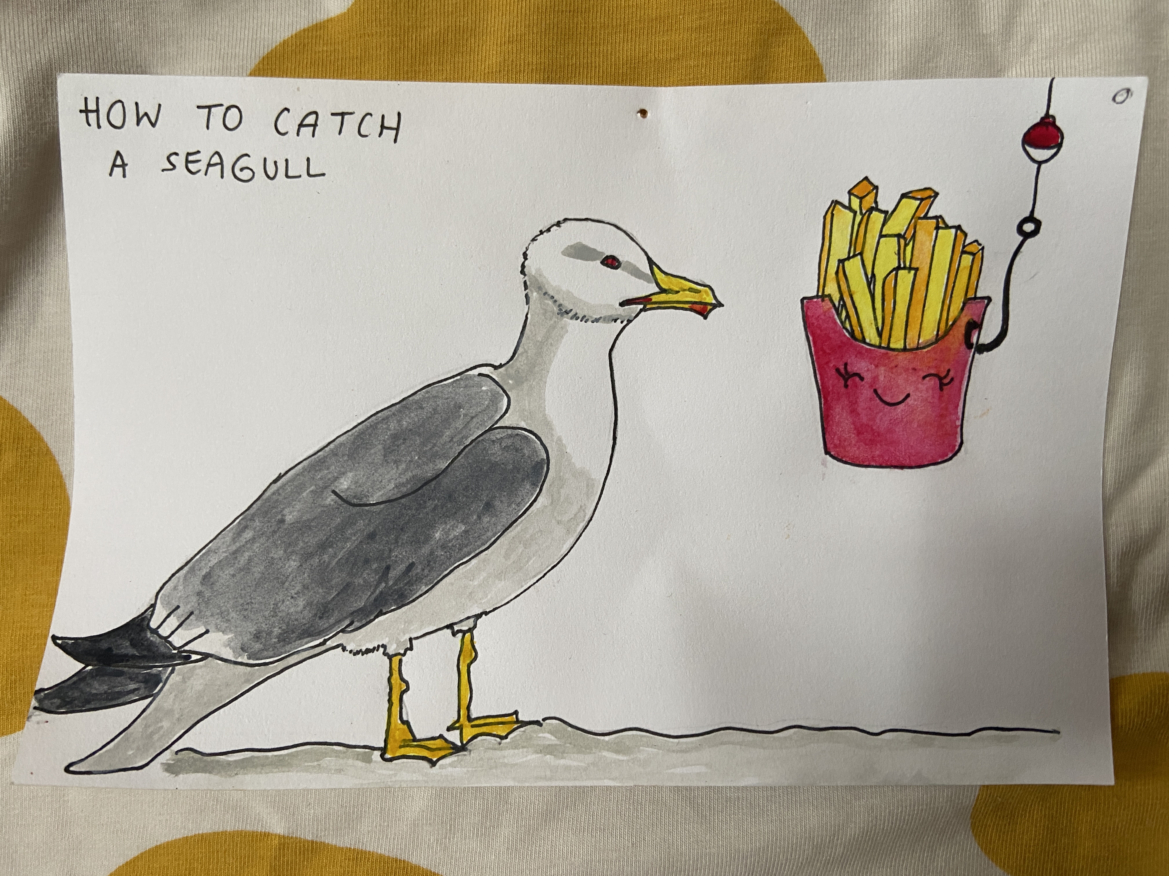 City gulls bias