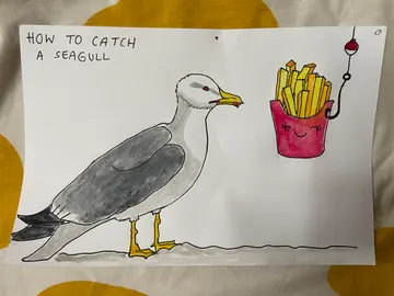 City gulls bias
