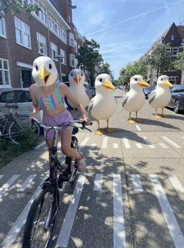 Me biking the Netherlands
