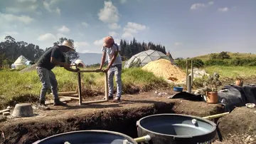 Organismo constructed wetland