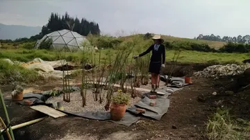 Organismo constructed wetland