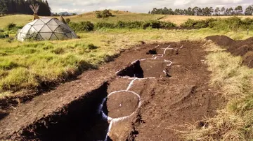 Organismo constructed wetland