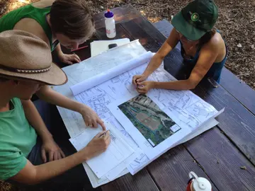 Planning a constructed wetland