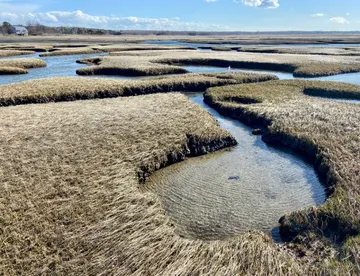Salt marsh, Cape Cod