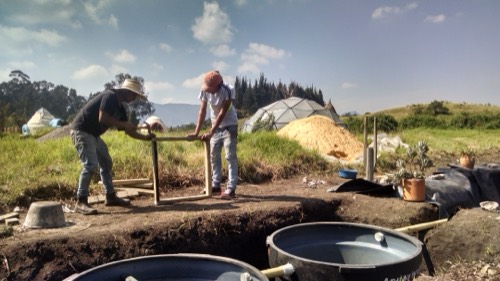 Organismo constructed wetland